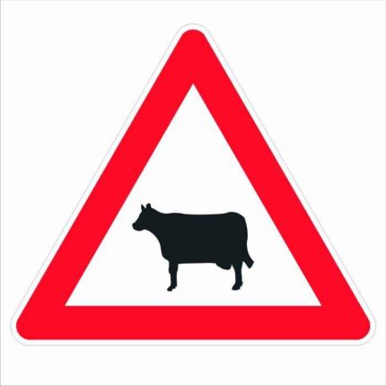 Road sign A21